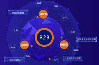 數(shù)商云B2B電商系統(tǒng)開發(fā)服務(wù)